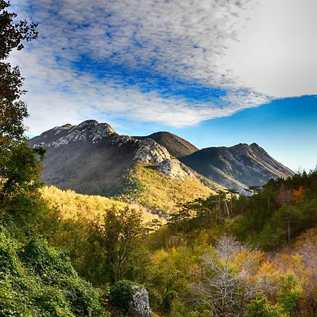 Cvitko Appartamento Tribanj-Kruscica