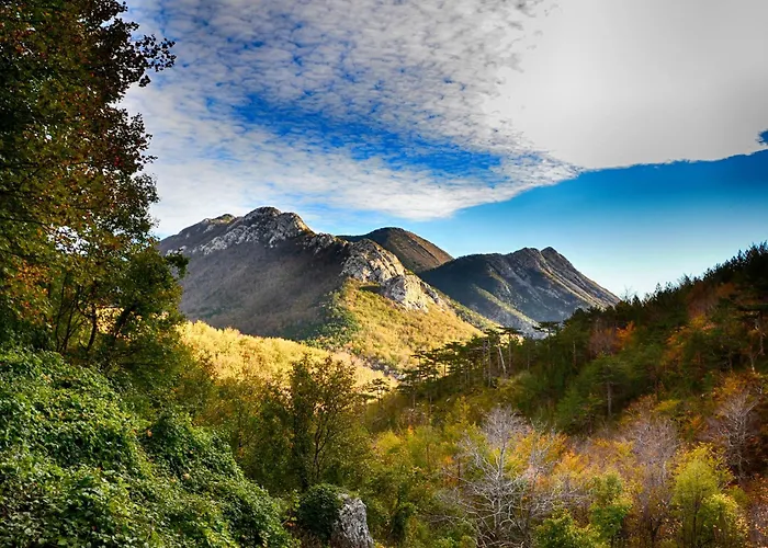 Cvitko Apartman Tribanj-Kruscica